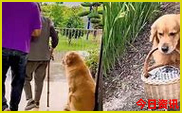 唐山乐亭旅游攻略景点推荐